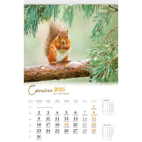 Kalendarz ścienny DZIKA PRZYRODA WIELOPLANSZOWY 12K 320mm x 470mm Lucrum (RW7) Lucrum