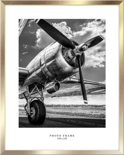 Ramka Floryda AU [mm:] 400x500 Styler Styler