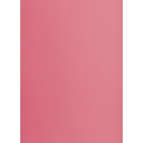 Brystol A3 różowy 160g 25k [mm:] 297x420 TOP-2000 (400150232) TOP-2000
