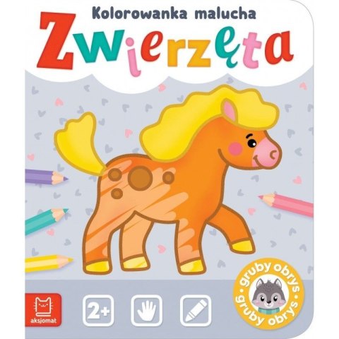 Książeczka edukacyjna Aksjomat Zwierzęta. Kolorowanka malucha Aksjomat