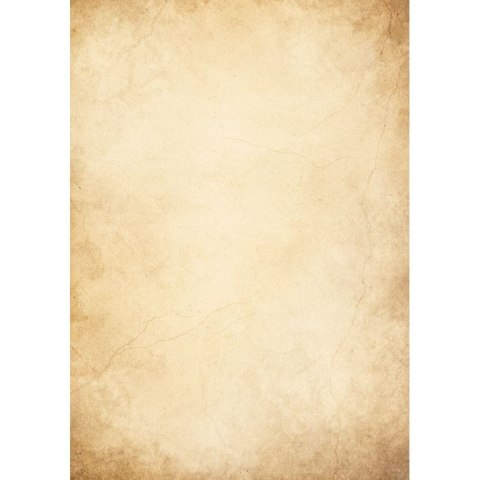 Papier ozdobny (wizytówkowy) florencja A4 Galeria Papieru (234010) Galeria Papieru