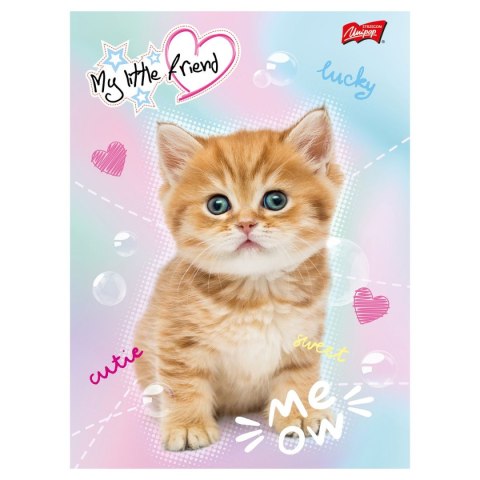 Zeszyt MY LITTLE FRIEND A5 16k. krata Unipap Unipap