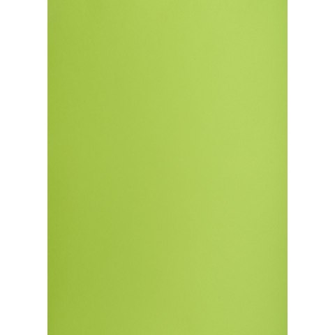 Brystol A1 jasnozielony 160g 25k [mm:] 610x860 TOP-2000 (400149557) TOP-2000