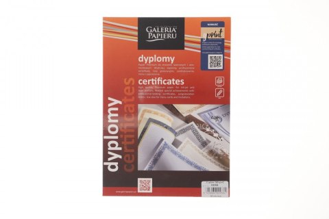 Dyplom A4 vera 190g Galeria Papieru (211119) Galeria Papieru
