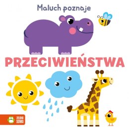 Książeczka edukacyjna Zielona Sowa Angielskie słówka Maluch poznaje. Zielona Sowa