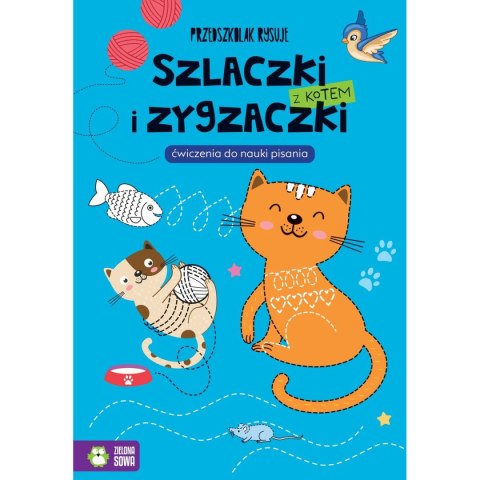 Książeczka edukacyjna Przedszkolak rysuje. Szlaczki i zygzaczki z kotem Zielona Sowa Zielona Sowa