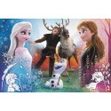Puzzle Frozen 2 300 el. Trefl (23006) Trefl
