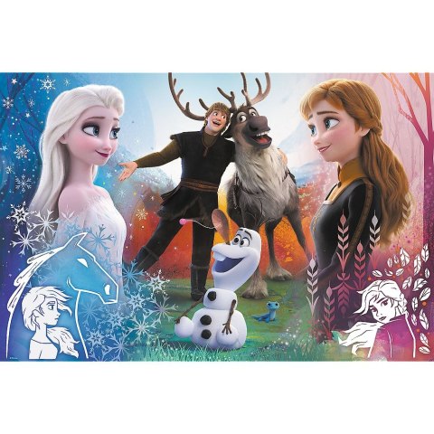 Puzzle Frozen 2 300 el. Trefl (23006) Trefl