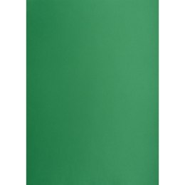 Brystol A1 ciemnozielony 160g [mm:] 610x860 Creatinio (400149561) Creatinio