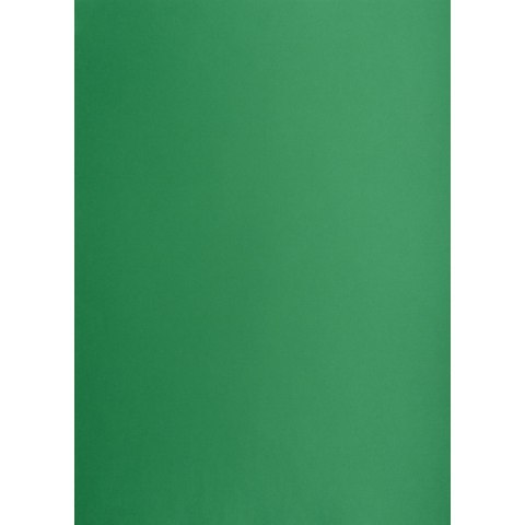 Brystol A1 ciemnozielony 160g [mm:] 610x860 Creatinio (400149561) Creatinio