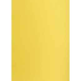 Brystol żółty B1 żółty 225g 1k Creatinio (400150264) Creatinio