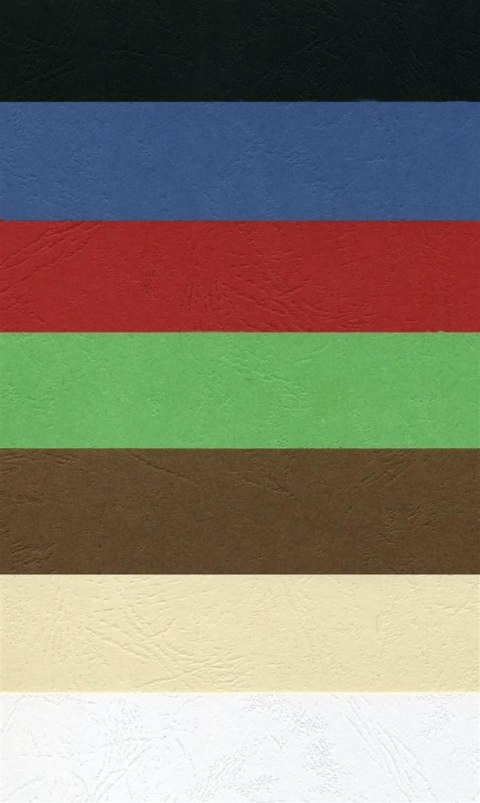 Karton do bindowania delta A4 czerwony 250g Argo (407041) Argo