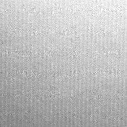 Papier ozdobny (wizytówkowy) A4 biały 246g Protos Protos