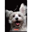Zeszyt A4 Crazy Animal 60k. 70g krata Herlitz (400196844) Herlitz