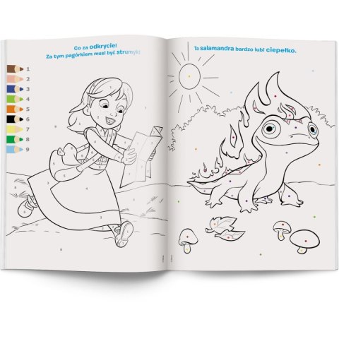 Książka dla dzieci Kraina lodu. Kolorowanka według kodu Ameet Ameet