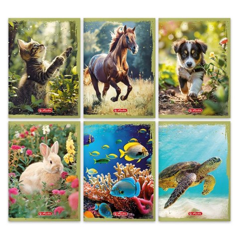 Zeszyt A5 Animals 9501353 32k. linia Herlitz (400197990) Herlitz