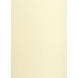 Brystol kremowy B1 kremowy 225g 25k Creatinio (400150252) Creatinio