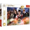 Puzzle Harry Potter 300 el. Trefl (23001) Trefl
