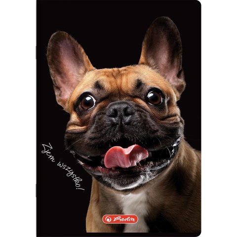 Zeszyt Crazy Animal A5 60k. 70g linia Herlitz (400196838) Herlitz