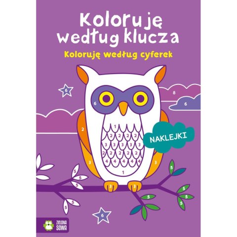 Książeczka edukacyjna Koloruję według klucza. Koloruję według cyferek Zielona Sowa Zielona Sowa