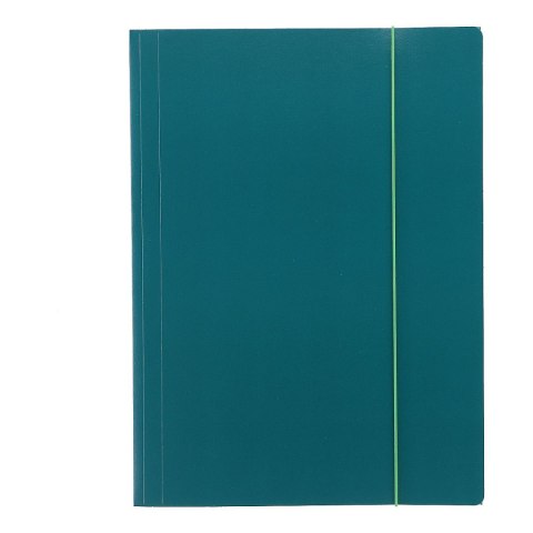 Teczka kartonowa na gumkę Eco A4 zielony 380g VauPe (319/06) VauPe