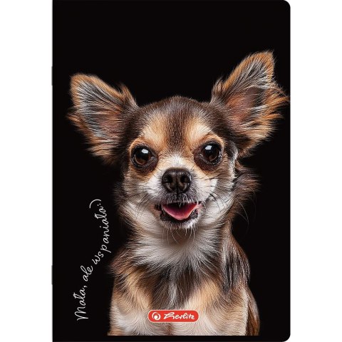 Zeszyt Crazy Animal A5 60k. 70g krata Herlitz (400196837) Herlitz