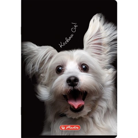 Zeszyt Crazy Animal A5 60k. 70g krata Herlitz (400196837) Herlitz