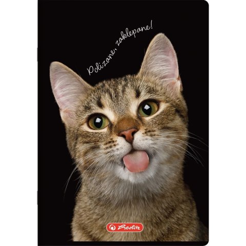 Zeszyt Crazy Animal A5 80k. 70g krata Herlitz (400196839) Herlitz