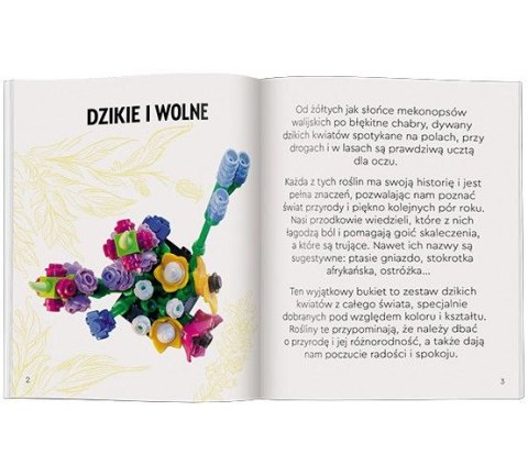 Książka dla dzieci LEGO® Botanicals. Ameet (MAB 6602) Ameet