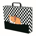 Teczka kartonowa ST.RIGHT SLEEPY CORGI A4 mix Unipap Unipap