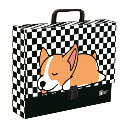 Teczka kartonowa ST.RIGHT SLEEPY CORGI A4 mix Unipap Unipap