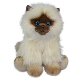 Pluszak Anek Kot Siamese 30 cm [mm:] 300 (84404SI AN01) Anek