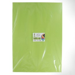 Brystol A1 czerwony 225g 10k Protos Protos