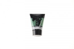Farba akrylowa Renesans Zieleń ciemna kolor: zielony ciemny 100ml (15) Renesans