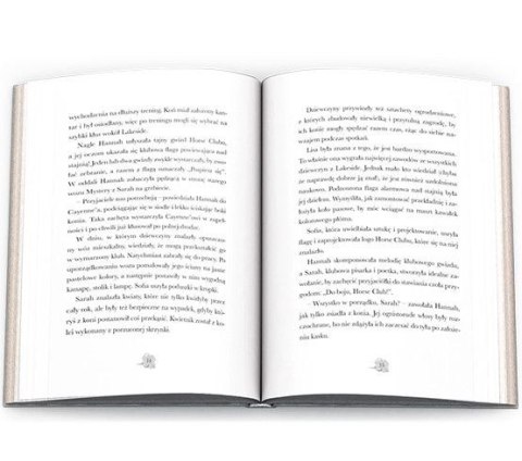 Książka dla dzieci HORSE CLUB. Niesamowity jeździec Ameet (CBH 8401) Ameet