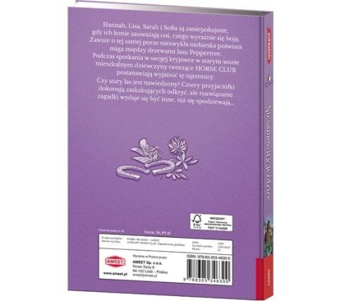 Książka dla dzieci HORSE CLUB. Niesamowity jeździec Ameet (CBH 8401) Ameet