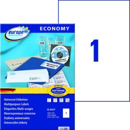 Etykieta samoprzylepna Zweckform ELA 027 A4 (210X297) Zweckform