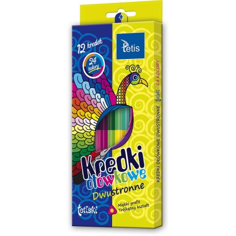 Kredki ołówkowe Tetiski 12 szt 24 kol. Tetis (KT005-AB) Tetis