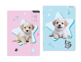 Teczka kartonowa na gumkę Doggy A4 mix Starpak (559706) Starpak