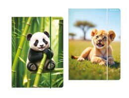 Teczka kartonowa na gumkę Dzikie zwierzęta A4 mix Starpak (559729) Starpak