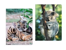 Teczka kartonowa na gumkę Dzikie zwierzęta A4 mix Starpak (559730) Starpak