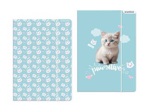 Teczka kartonowa na gumkę Kitty A4 mix Starpak (553545) Starpak