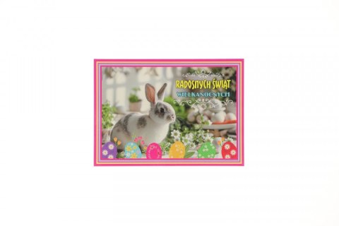 Kartka składana A6 Enzo (C WN) Enzo