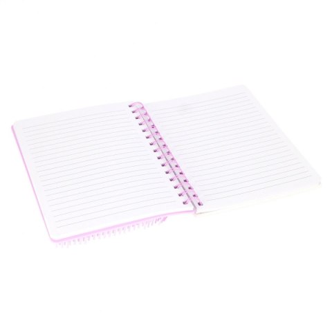 Kołozeszyt (kołonotatnik) Leniwiec A5 Starpak (553738) Starpak