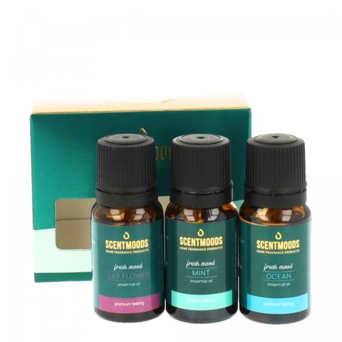 Świeczka ozdobna Zestaw olejków zapachowych Fresh Mood Pavoncella (8716516202525) Pavoncella