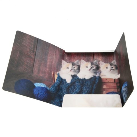 Teczka kartonowa na gumkę Kotki A4 mix Starpak (559717) Starpak