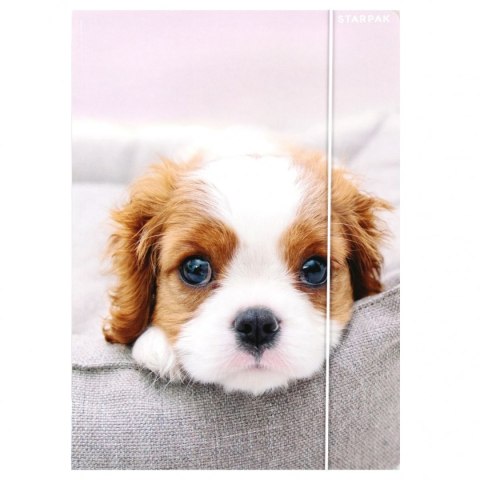 Teczka kartonowa na gumkę Pieski A4 mix Starpak (559719) Starpak