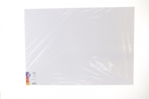 Brystol biały A1 biały 250g 1k Creatinio (400173613) Creatinio