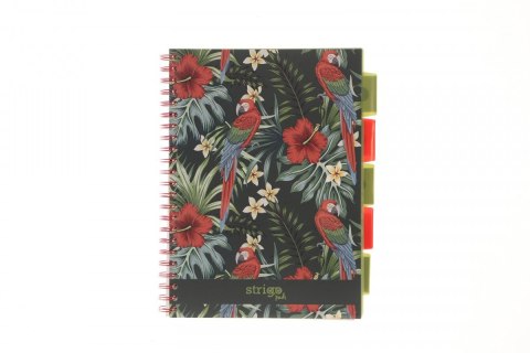 Kołozeszyt (kołonotatnik) PAPUGA czarny A4 100k. 80g krata Strigo (PADS60) Strigo