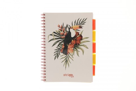 Kołozeszyt (kołonotatnik) PELIKAN biały A4 100k. 80g krata Strigo (PADS061) Strigo